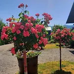 Kuca Za Odmor Delak *
