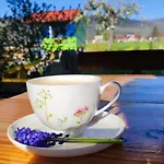 Kuca Za Odmor Delak